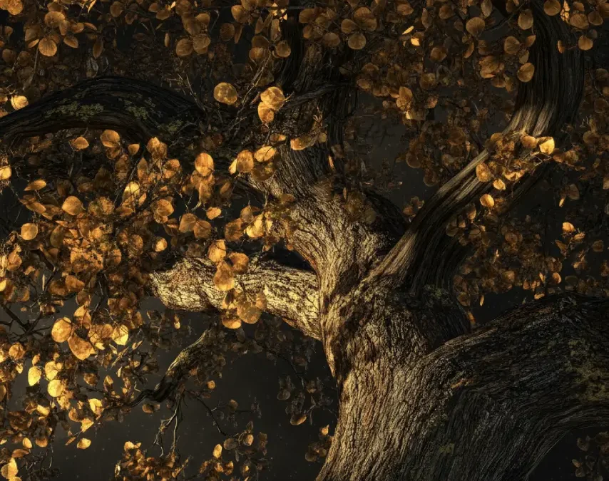 Interoceptive Grounding: Reconnecting with the Body Through Imagination