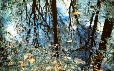 Somatic Imagination: The Missing Link in Stress Regulation